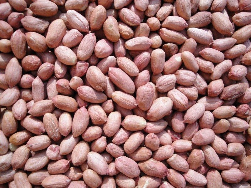 Raw Groundnut (Peanut)