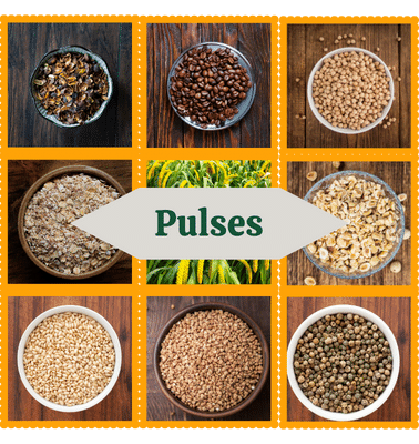 Pulses